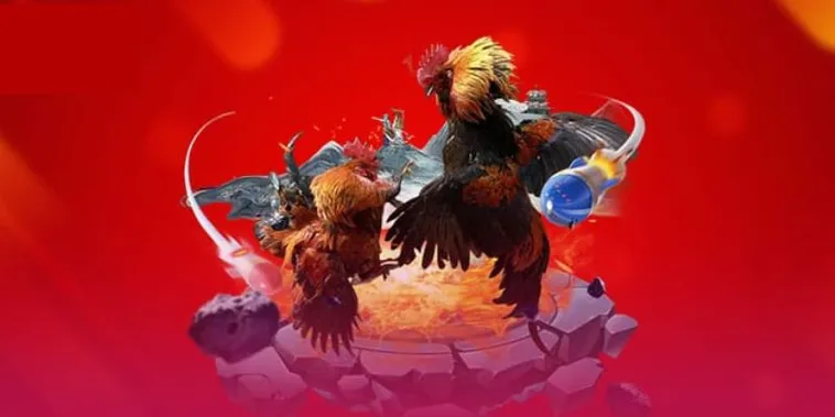 Khám Phá Sức Hút Của Đấu Trường Đá Gà E2BET Chuyên Nghiệp